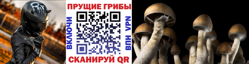 Псилоцибиновые грибы мицелий  blacksprut зеркало  Лебедянь 