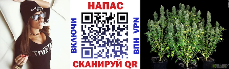 Марихуана Ganja  Лебедянь 